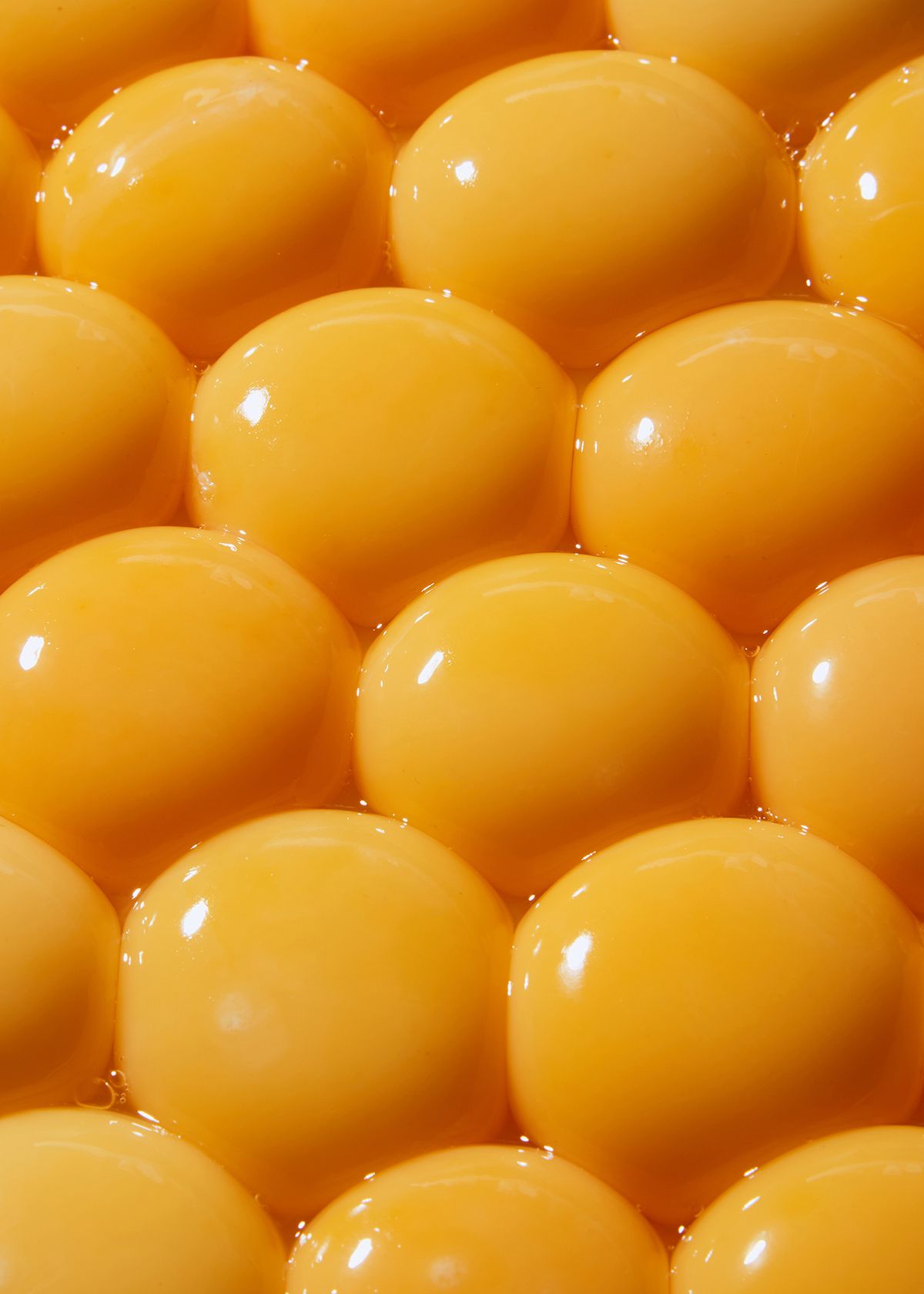 100% Quail Egg Yolk ingredient