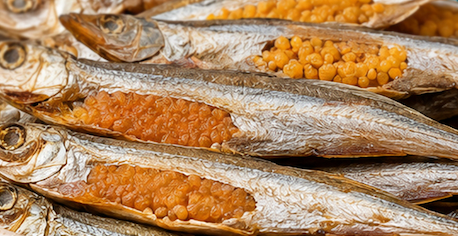100% Capelin Fish ingredient