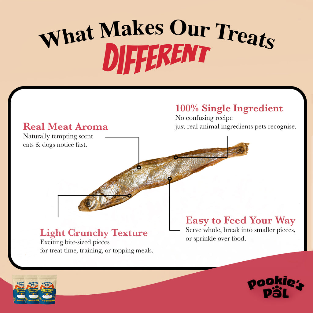 Freeze-Dried Capelin Fish 40g