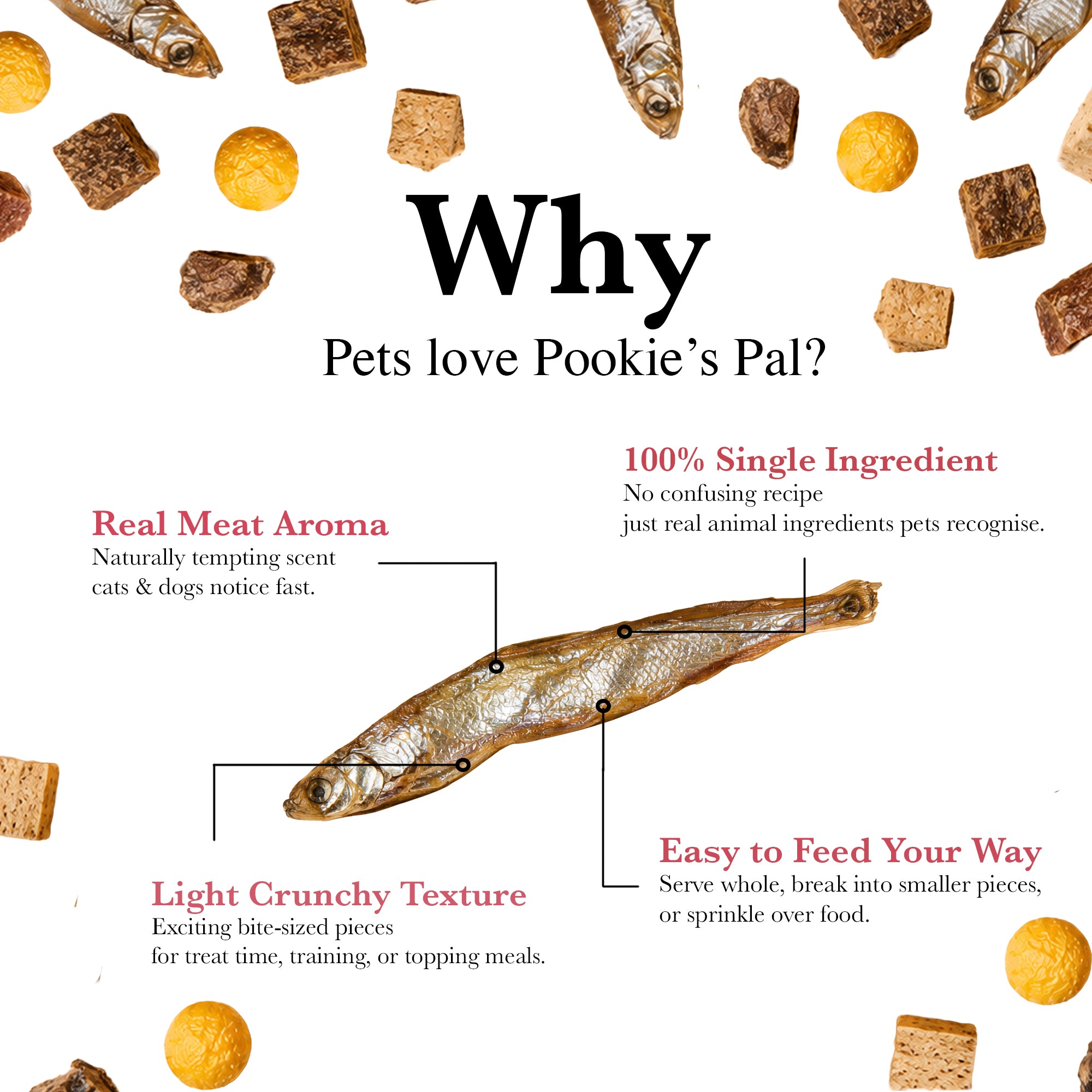 Promotional graphic for Pookie's Pal pet treats, featuring a whole dried fish labeled with callouts about real meat aroma, single ingredient quality, crunchy texture, and easy feeding, on a white background with scattered treat pieces around the edges.