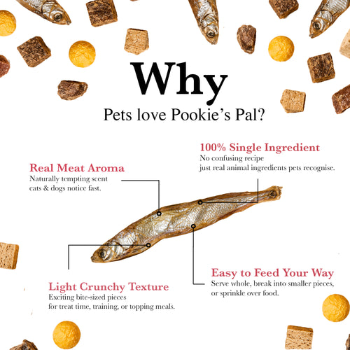 Promotional graphic for Pookie's Pal pet treats, featuring a whole dried fish labeled with callouts about real meat aroma, single ingredient quality, crunchy texture, and easy feeding, on a white background with scattered treat pieces around the edges.
