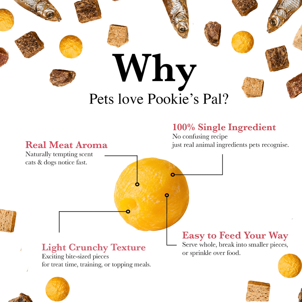Promotional graphic for Pookie's Pal cat & dog treats, featuring a central yellow-orange round treat with callout lines and text highlighting 'Real Meat Aroma', '100% Single Ingredient', 'Light Crunchy Texture', and 'Easy to Feed Your Way'. The background is white with scattered fish and rectangular treats around the edges.