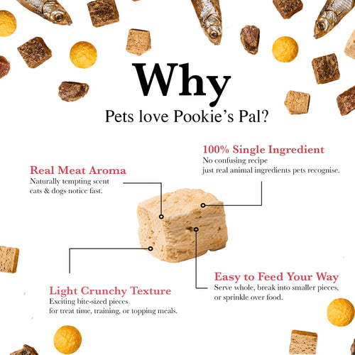 Freeze-Dried Chicken Cubes 60g